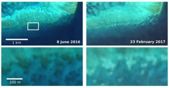Koraller i Barriererevet som blekner, sett av miljøsatellitten Sentinel-2A. Copernicus/Sentinel/J. Hedley/C. Roelfsema