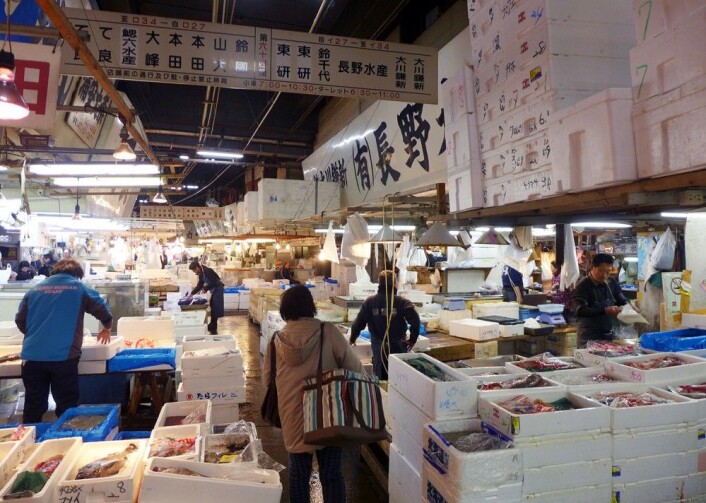 Tsukij-fiskemarkedet er en av Tokyos største attraksjoner. (Foto: Torstein Skåra) Tsukij-fiskemarkedet er en av Tokyos største attraksjoner. (Foto: Torstein Skåra)