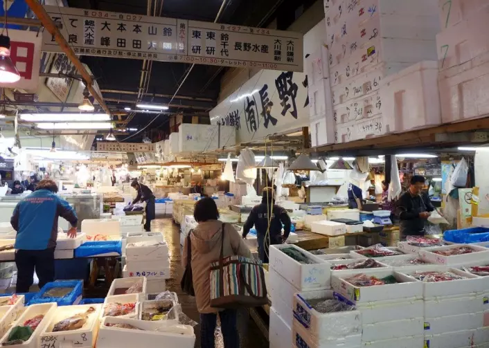 Tsukij-fiskemarkedet er en av Tokyos største attraksjoner. (Foto: Torstein Skåra)