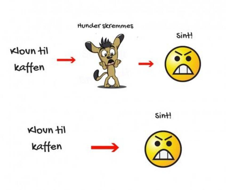 Skremte hunder er ikke morsomt