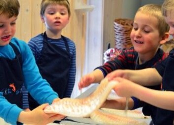 Denne barnehagen deltar i programmet "Fiskesprell". Her får barna bli kjent med torskefilet. Foto: Siril Alm, Nofima Denne barnehagen deltar i programmet "Fiskesprell". Her får barna bli kjent med torskefilet. Foto: Siril Alm, Nofima