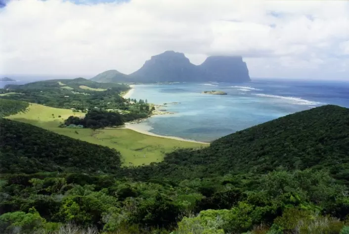Paradisøya Lord Howe Island, der det nå planlegges å dumpe 42 tonn gift fra helikopter for å fjerne rotteplagen en gang for alle. (Foto: David Morgan-Mar, <a href="https://commons.wikimedia.org/wiki/File:LordHoweIslandFromKimsLookout.jpg">Wikimedia Commons, se bilderettigheter her)</a>
