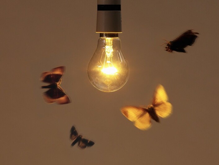 (Foto: Colourbox) (Foto: Colourbox)
