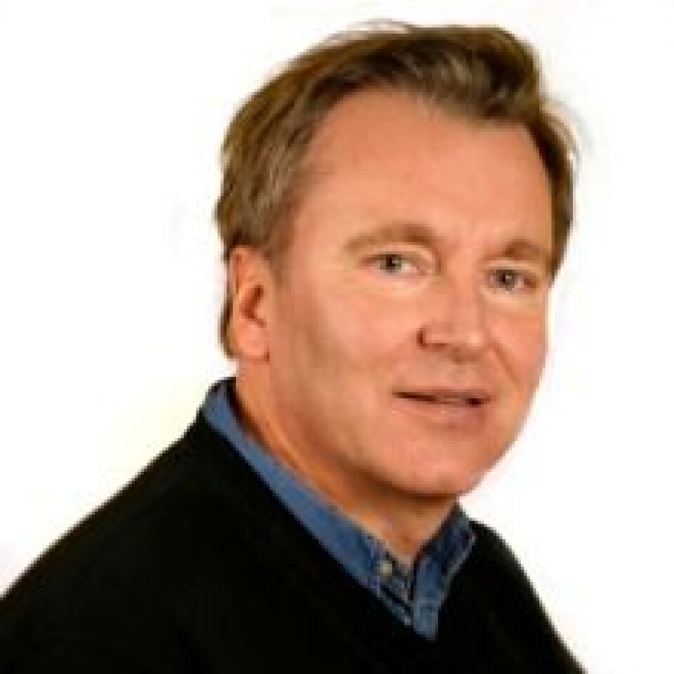 Finn Egil Tønnessen er professor ved Lesesenteret, Universitetet i Stavanger(Foto: UiS)