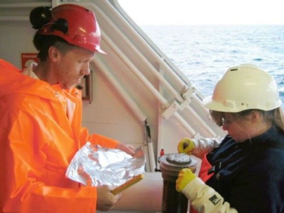 Kjernene snittes i cm-tykke skiver og sendes til laboratoriet for videre analyser. (Foto: MAREANO)