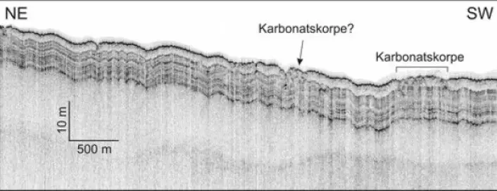 TOPAS-linje som viser lagdelte sedimenter avsatt etter at isdekket forsvant etter siste istid. Karbonatskorpe ble funnet på havbunnen i et område der TOPAS-dataene viser et spesielt mønster. (Foto: MAREANO)