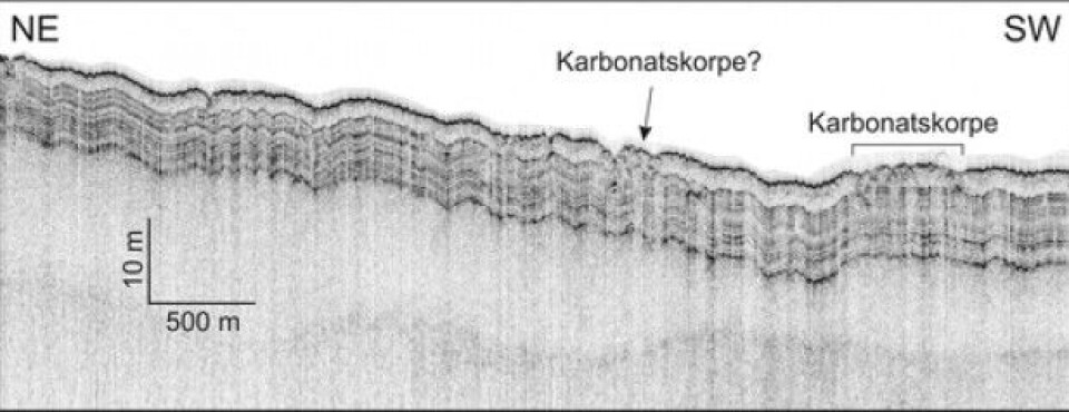 TOPAS-linje som viser lagdelte sedimenter avsatt etter at isdekket forsvant etter siste istid. Karbonatskorpe ble funnet på havbunnen i et område der TOPAS-dataene viser et spesielt mønster. (Foto: MAREANO)