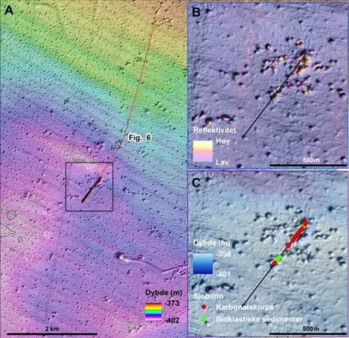 A: Videolinja (svart linje) hvor mange blokker av karbonatskorpe ble observert. B: I pockmarkområdet er det generelt lav backscatter, unntatt i noen større pockmark hvor verdiene er mye høyere. C: Bunnrelieffkart med markering av karbonatskorpe (røde punkter). Grønne punkter viser bioklastiske sedimenter (hovedsaklig korallgrus) (Foto: MAREANO)