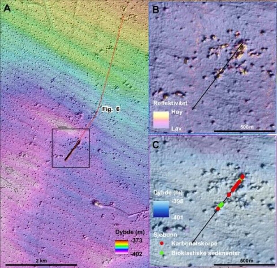 A: Videolinja (svart linje) hvor mange blokker av karbonatskorpe ble observert. B: I pockmarkområdet er det generelt lav backscatter, unntatt i noen større pockmark hvor verdiene er mye høyere. C: Bunnrelieffkart med markering av karbonatskorpe (røde punkter). Grønne punkter viser bioklastiske sedimenter (hovedsaklig korallgrus) (Foto: MAREANO)