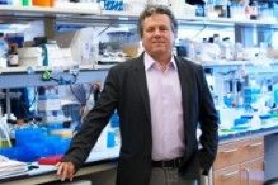 Scott Lowe er interessert i å finne ut korleis ulike mutasjonar samarbeider for å utvikle ein kreftsvulst, og identifisere nye terapeutiske strategiar for denne kreftsjukdommen. Foto: The Memorial Sloan Kettering Cancer Centre