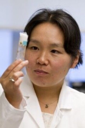 Yukiko Yamashita har ledet studien om nanotubene. Foto: John D. & Catherine T. MacArthur Foundation Yukiko Yamashita har ledet studien om nanotubene. Foto: John D. & Catherine T. MacArthur Foundation