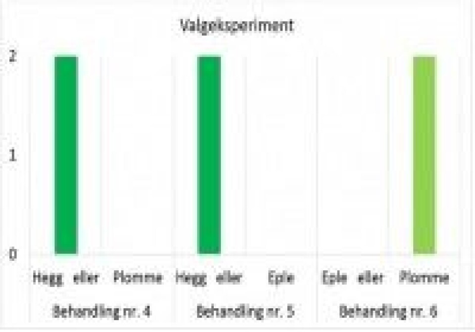 Hvorfor er verden grønn?