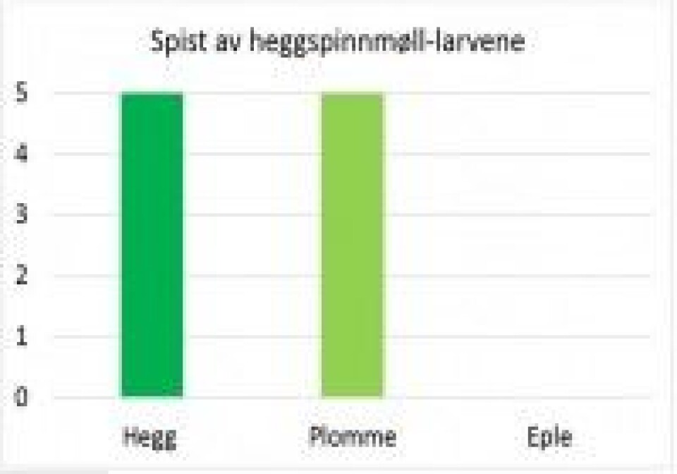 Hvorfor er verden grønn?