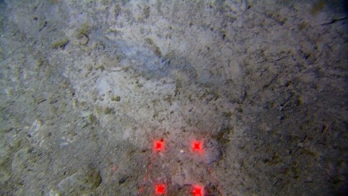 Overgangen fra bunnen til veggen i pockmarket ses i den venstre delen av bildet. Den horisontale avstanden mellom laserprikkene er 10 cm. (Foto: MAREANO) Overgangen fra bunnen til veggen i pockmarket ses i den venstre delen av bildet. Den horisontale avstanden mellom laserprikkene er 10 cm. (Foto: MAREANO)
