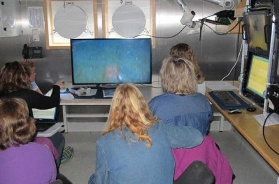 Topp konsentrasjon blant geologene og biologene i G.O. Sars’ video operasjonsrom. (Foto: MAREANO)
