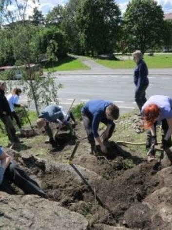 Tøyenparken: Eldgamle, flotte fossiler midt i Oslo. (Foto: LLD) Tøyenparken: Eldgamle, flotte fossiler midt i Oslo. (Foto: LLD)