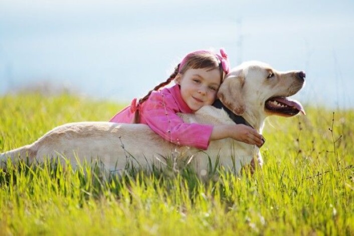 (Foto: Alena Ozerova / Shutterstock / NTB scanpix) (Foto: Alena Ozerova / Shutterstock / NTB scanpix)
