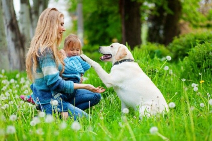 (Foto: Colourbox) (Foto: Colourbox)