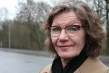<em>Professor Elsa Almås. (Foto: UiA)</em>