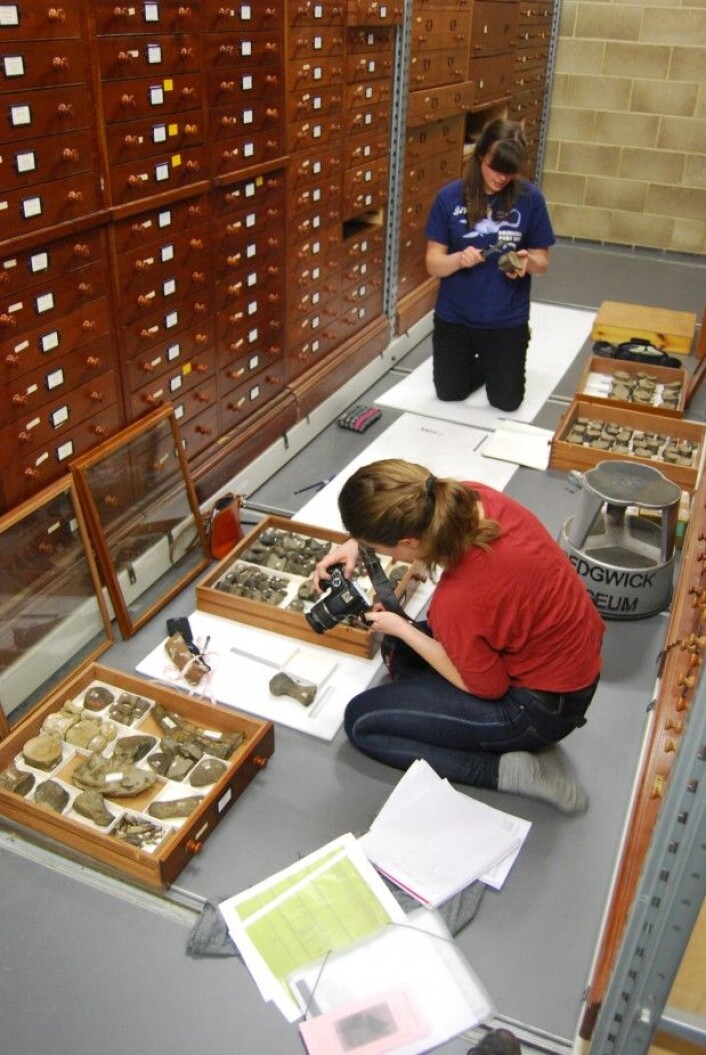 Lene og Aubrey storkoser seg i samlingene til Cambridge Sedgwick Museum. (Foto: Privat) Lene og Aubrey storkoser seg i samlingene til Cambridge Sedgwick Museum. (Foto: Privat)