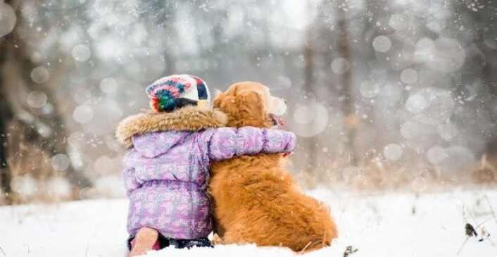 Fido har funnet en helt spesiell økologisk nisje på denne kloden. (Foto: Colourbox) Fido har funnet en helt spesiell økologisk nisje på denne kloden. (Foto: Colourbox)
