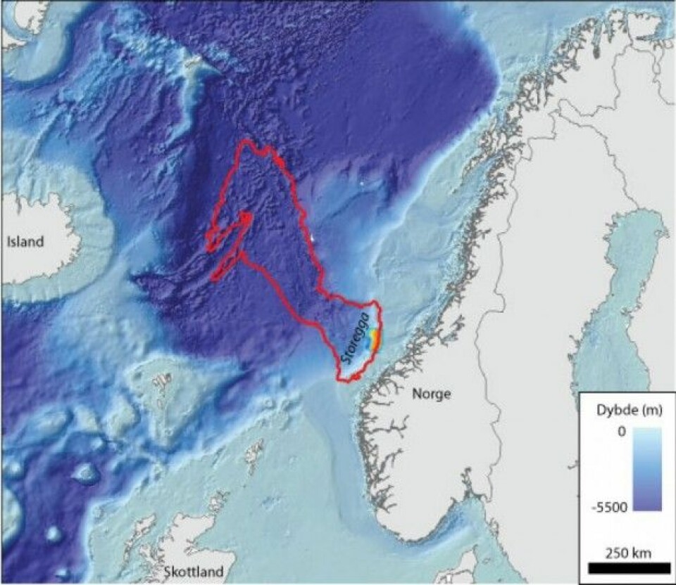 Kart som viser utbredelsen av Storeggaraset med rødt omriss. Skredavsetningene strekker seg 810 km fra bakkanten av skredet ved Storegga og ut i den dypeste delen av Norskehavet. Storneset, som kartlegges på dette toktet, er vist med farger og blått omriss. (Kart: MAREANO)