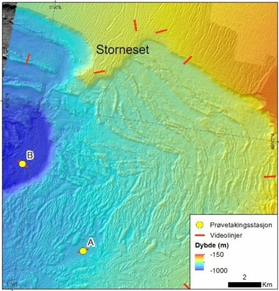 Figur 2. Detaljkart over Storneset som viser plasseringen av to stasjoner (A og B) der det er tatt sedimentkjerner. Stasjonene ligger i to adskilte avsetningsbassenger i den store rasgropen fra Storeggaraset. De røde strekene viser hvor det er kjørt videolinjer langs 700 m lange transekter. (Foto: MAREANO) Figur 2. Detaljkart over Storneset som viser plasseringen av to stasjoner (A og B) der det er tatt sedimentkjerner. Stasjonene ligger i to adskilte avsetningsbassenger i den store rasgropen fra Storeggaraset. De røde strekene viser hvor det er kjørt videolinjer langs 700 m lange transekter. (Foto: MAREANO)