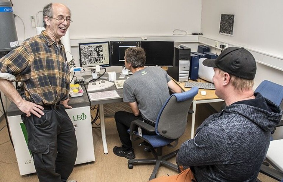 Geolog Lars Olsen er begeistret for rekordfunnet til Marius Frang. Henrik Schiellerup studerer gullklumpen i NGUs elektronmikroskop. (Foto: Filip Gundersen / NGU)