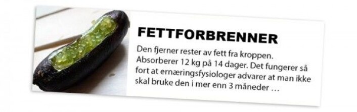 Slik så annonsen for Verbisan ut da kronikkforfatteren så den på Dagbladet den 6. april 2018. (Skjermbilde fra Dagbladet.no) Slik så annonsen for Verbisan ut da kronikkforfatteren så den på Dagbladet den 6. april 2018. (Skjermbilde fra Dagbladet.no)