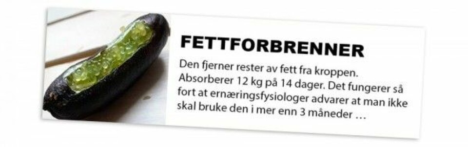 Slik så annonsen for Verbisan ut da kronikkforfatteren så den på Dagbladet den 6. april 2018. (Skjermbilde fra Dagbladet.no)