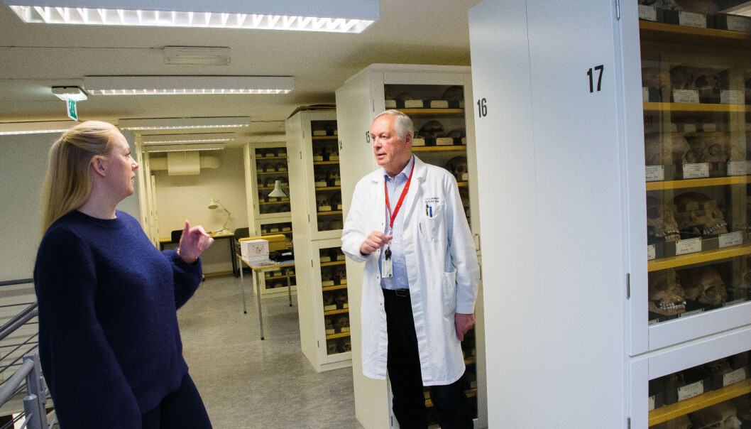 Elin Brødholt og Per Holck i skjelettsamlingen i kjelleren på Domus Medica, rett ved Rikshospitalet trikkestopp i Oslo. Alle hodeskallene er sirlig lagret i glasskap. (Foto: Yngve Vogt) Elin Brødholt og Per Holck i skjelettsamlingen i kjelleren på Domus Medica, rett ved Rikshospitalet trikkestopp i Oslo. Alle hodeskallene er sirlig lagret i glasskap. (Foto: Yngve Vogt)
