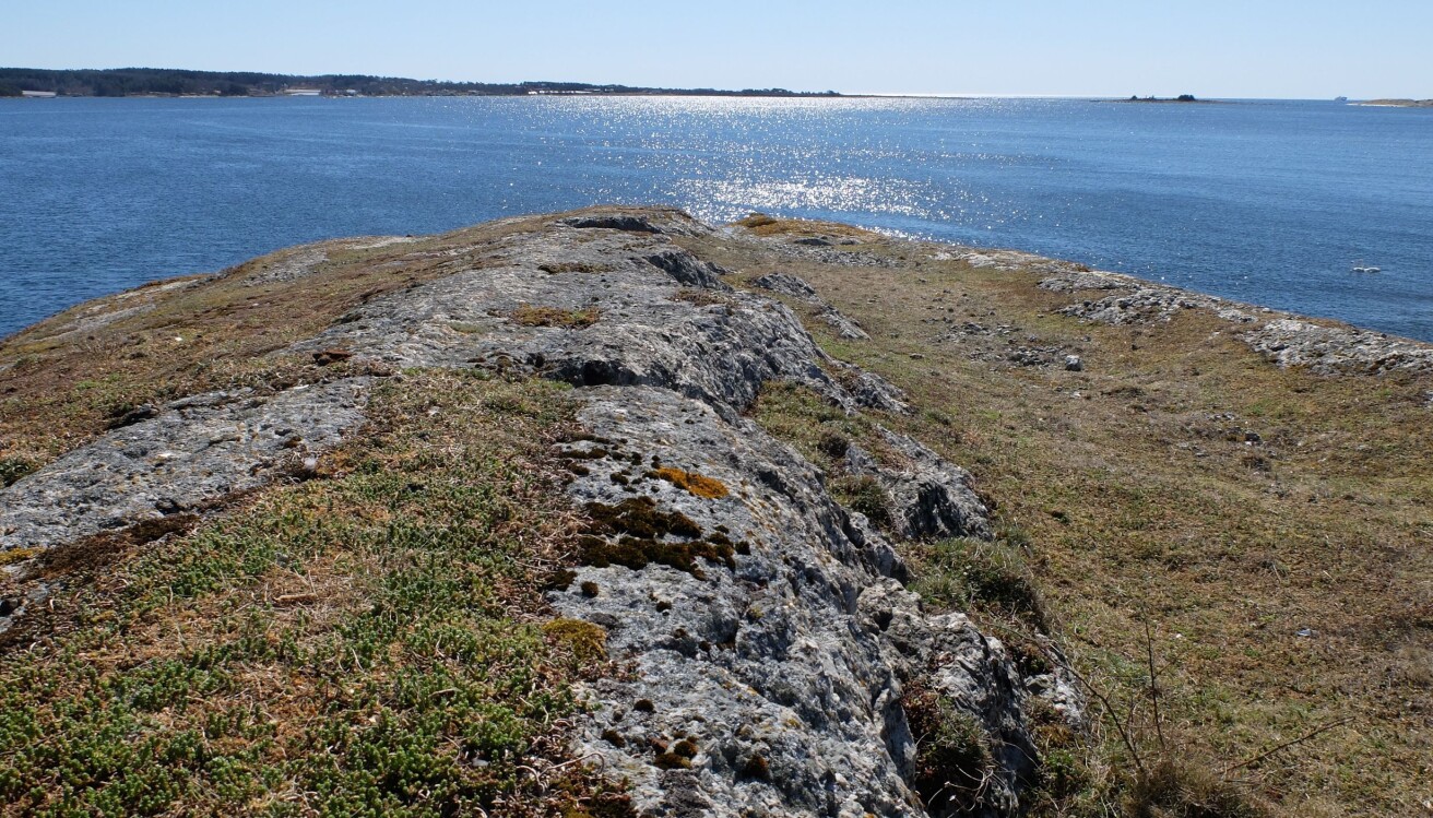 Låven har fått navnet sitt fordi den fra riktig vinkel ligner på et låvetak. På 1800-tallet var den lille holmen et eldorado for forskere og steinsamlere. Her fant de sjeldne mineraler og til og med mineraler ingen hadde sett før i hele verden. (Foto: Eivind Torgersen) Låven har fått navnet sitt fordi den fra riktig vinkel ligner på et låvetak. På 1800-tallet var den lille holmen et eldorado for forskere og steinsamlere. Her fant de sjeldne mineraler og til og med mineraler ingen hadde sett før i hele verden. (Foto: Eivind Torgersen)