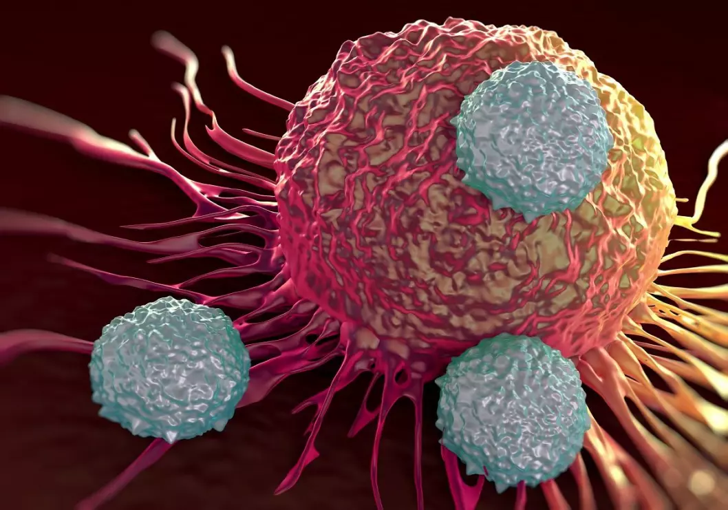 Immunterapi går ut på at man forsøker å styrke immuncellenes evne til å angripe kreftcellene.