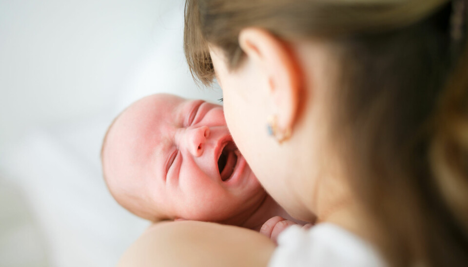Foreldre med en kolikk-baby kan nok være villig til å prøve mye for å stagge gråten. Kanskje kan en spesiell diett for mor hjelpe litt.  (Foto: Konstantin Tronin / Shutterstock / NTB scanpix)