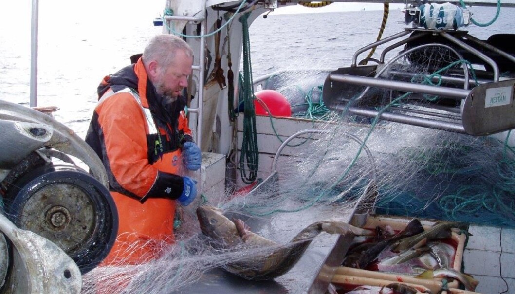 Kameratskap, samhold, selvstendighet og konkret utbytte av innsatsen, er grunner til svært høy trivselsfaktor blant fiskerne. (Foto: Halvard Aasjord, SINTEF Ocean) Kameratskap, samhold, selvstendighet og konkret utbytte av innsatsen, er grunner til svært høy trivselsfaktor blant fiskerne. (Foto: Halvard Aasjord, SINTEF Ocean)