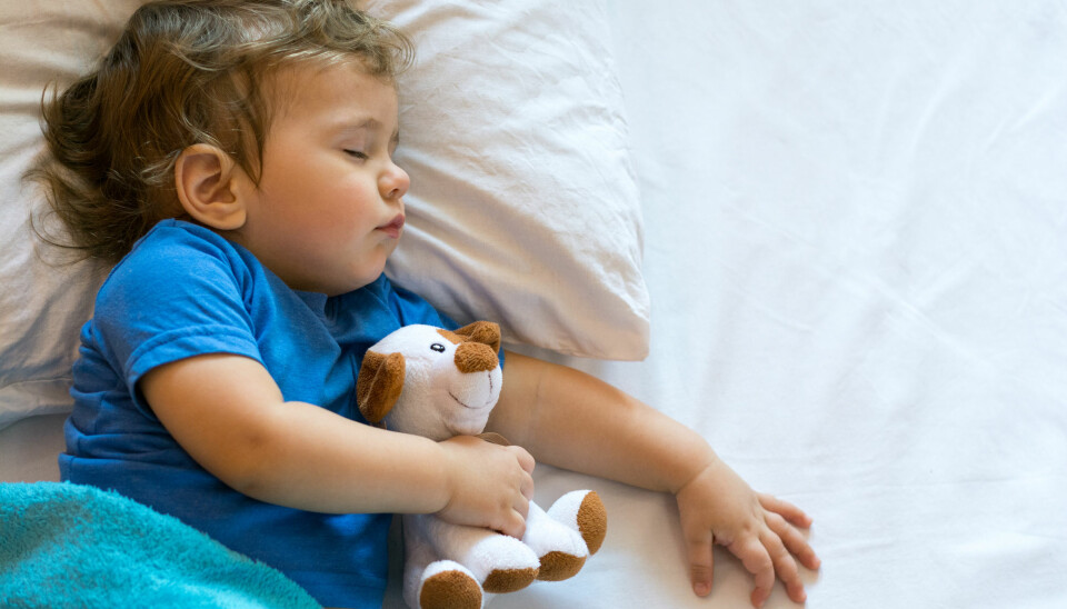 I løpet av de første leveårene våre, utvikler hukommelsen seg veldig fort. Derfor vil forskerne se inne i hodene på toåringer, mens barna både sover OG husker. (Illustrasjonsfoto: Shutterstock / NTB Scanpix)