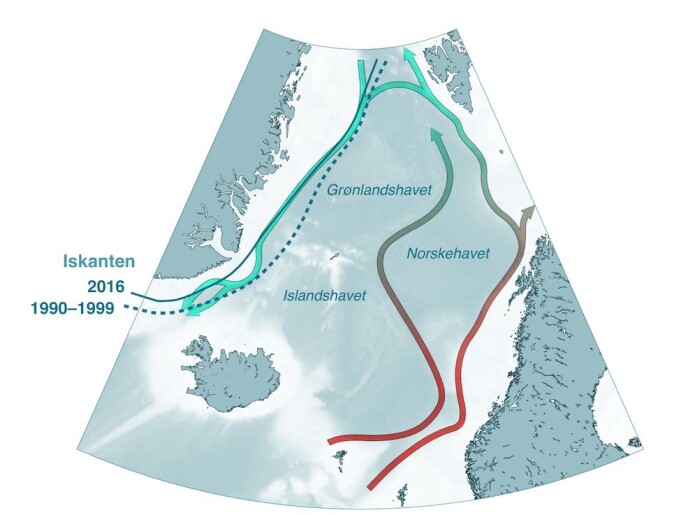 Havstrømmene i De nordiske hav. Nordover i overflaten går Golfstrømmens forlengelse langs vår kyst, før vannet synker ned og returnerer sørover langs kysten av Grønland. (Figur: Kjetil Våge) Havstrømmene i De nordiske hav. Nordover i overflaten går Golfstrømmens forlengelse langs vår kyst, før vannet synker ned og returnerer sørover langs kysten av Grønland. (Figur: Kjetil Våge)