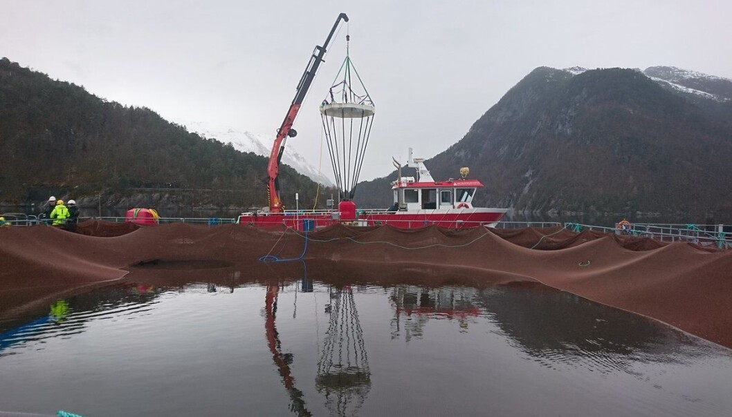 Luftkuppelen senkes ned i merden med lodd. (Foto: Havforskningsinstituttet) Luftkuppelen senkes ned i merden med lodd. (Foto: Havforskningsinstituttet)