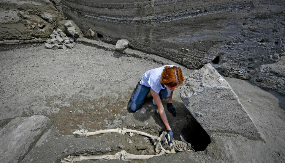 Arkeolog Valeria Amoretti børster forsiktig bort sand fra et skjelett de nylig fant ved Pompeii.  (Foto: AP)