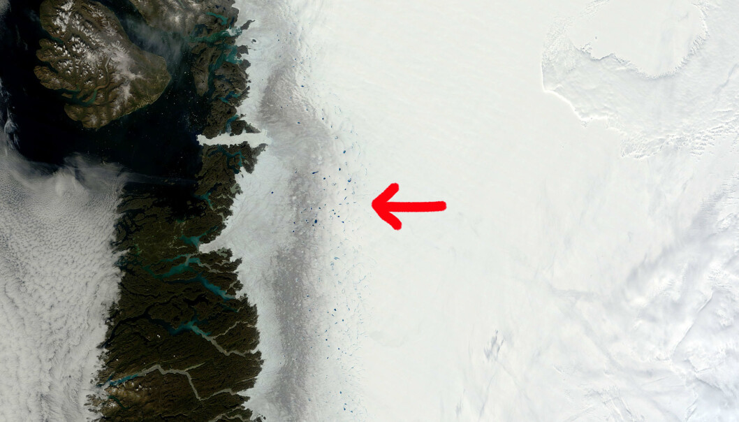 Satellittbilder av den mørke issonen på Grønland viser tydelig den urene isen i bemerkelsesverdig kontrast til uberørt snø. Slike bilder kan imidlertid ikke vise sammensetningen av urenheter. (Foto: MODIS / NASA) Satellittbilder av den mørke issonen på Grønland viser tydelig den urene isen i bemerkelsesverdig kontrast til uberørt snø. Slike bilder kan imidlertid ikke vise sammensetningen av urenheter. (Foto: MODIS / NASA)