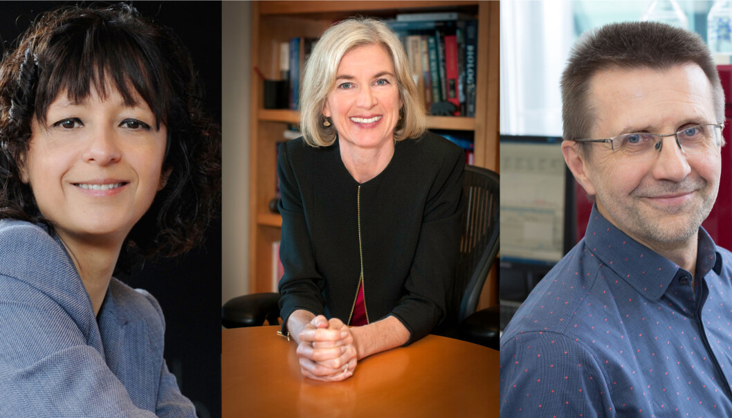 Emmanuelle Charpentier fra Max Planck Society, Jennifer A. Doudna ved University of California, Berkeley og Virginijus Šikšnys fra Vilnius University får Kavliprisen i nanovitenskap. (Foto: Hallbauer&Fioretti, Braunschweig, Tyskland / UC Berkeley / Vilnius University) Emmanuelle Charpentier fra Max Planck Society, Jennifer A. Doudna ved University of California, Berkeley og Virginijus Šikšnys fra Vilnius University får Kavliprisen i nanovitenskap. (Foto: Hallbauer&Fioretti, Braunschweig, Tyskland / UC Berkeley / Vilnius University)