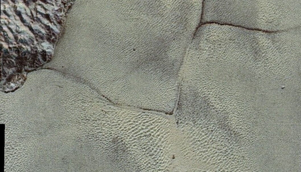 Plutos overflate. Du kan tydelig se noe som ser ut som sanddyner på bildene, men disse er laget av noe helt annet. En piksel på bildet tilsvarer omtrent 85 meter. (Bilde: NASA/JHUAPL/SwRI Plutos overflate. Du kan tydelig se noe som ser ut som sanddyner på bildene, men disse er laget av noe helt annet. En piksel på bildet tilsvarer omtrent 85 meter. (Bilde: NASA/JHUAPL/SwRI