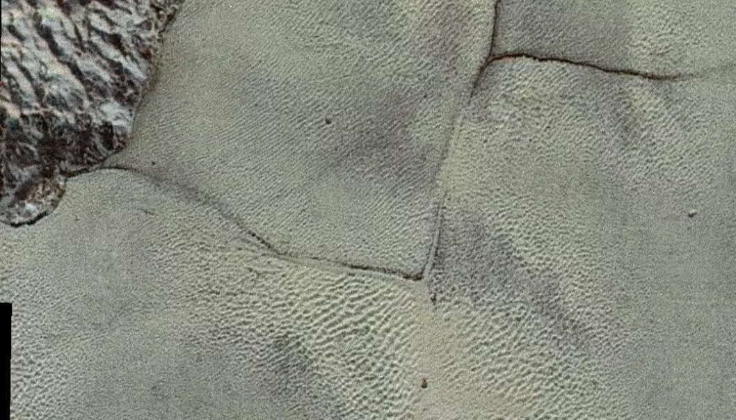 Plutos overflate. Du kan tydelig se noe som ser ut som sanddyner på bildene, men disse er laget av noe helt annet. En piksel på bildet tilsvarer omtrent 85 meter.  (Bilde: NASA/JHUAPL/SwRI