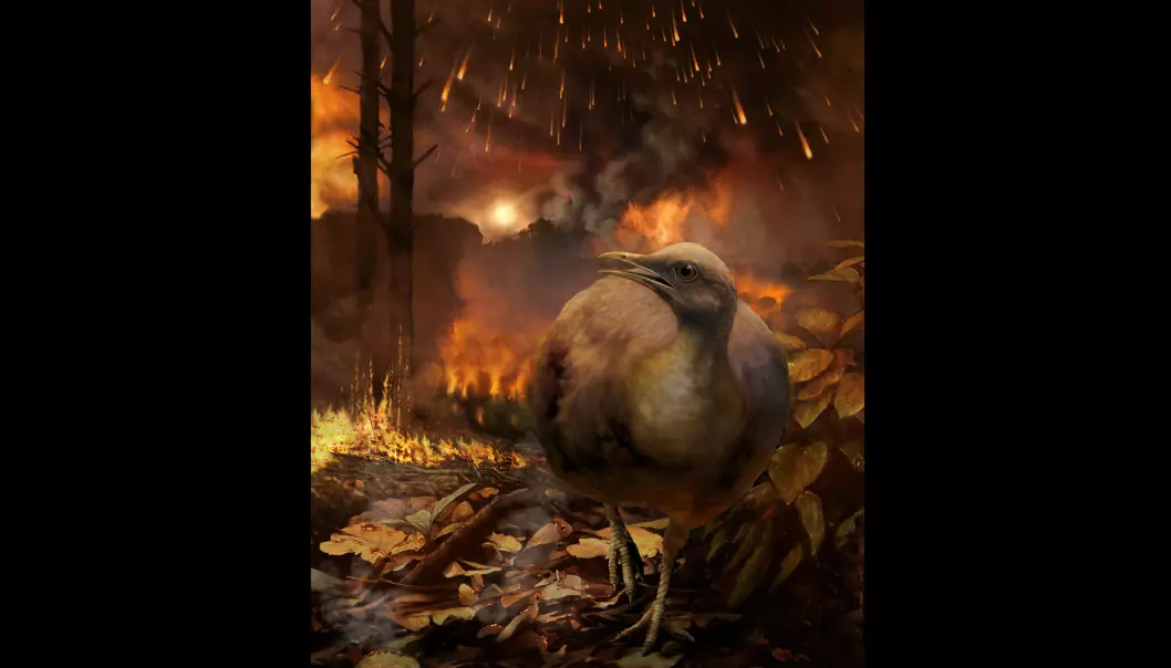 Slik kan det ha sett ut da en tenkt, landlevende fugl måtte flykte fra infernoet etter asteroidenedslaget.  (Bilde: Phillip M. Krzeminski)