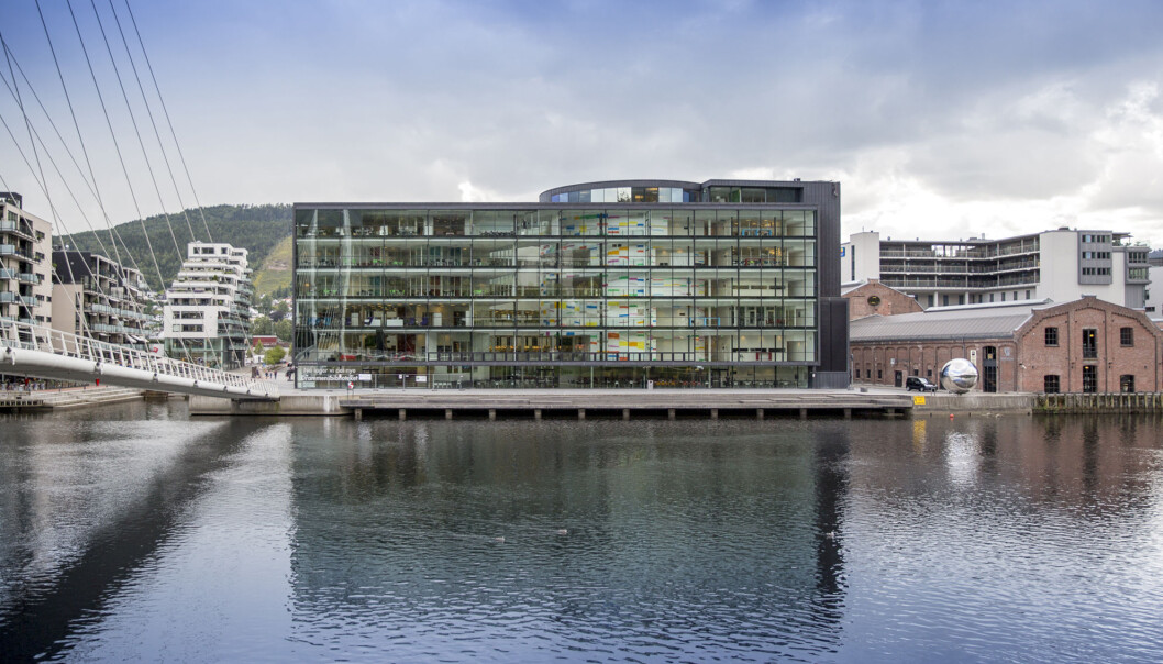 To forskere ved Universitetet i Sørøst-Norge har brutt forskningsetiske retningslinjer, ifølge det felles redelighetsutvalget ved Universitetet i Sørøst-Norge og Høgskolen i Innlandet. (Foto: Tine Poppe / Universitetet i Sørøst-Norge) To forskere ved Universitetet i Sørøst-Norge har brutt forskningsetiske retningslinjer, ifølge det felles redelighetsutvalget ved Universitetet i Sørøst-Norge og Høgskolen i Innlandet. (Foto: Tine Poppe / Universitetet i Sørøst-Norge)