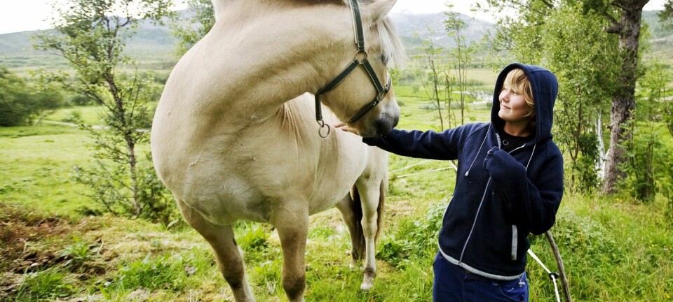 Hesten er god til å tolke ansiktsuttrykket ditt. Men hva gjør det med forholdet til mennesker på sikt? (Foto: Kyrre Lien/NTB scanpix)