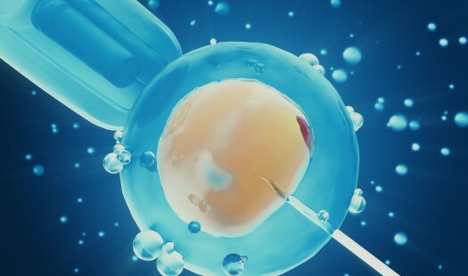 Britene nå mer radikale i genredigering av embryoer enn norske anbefalinger