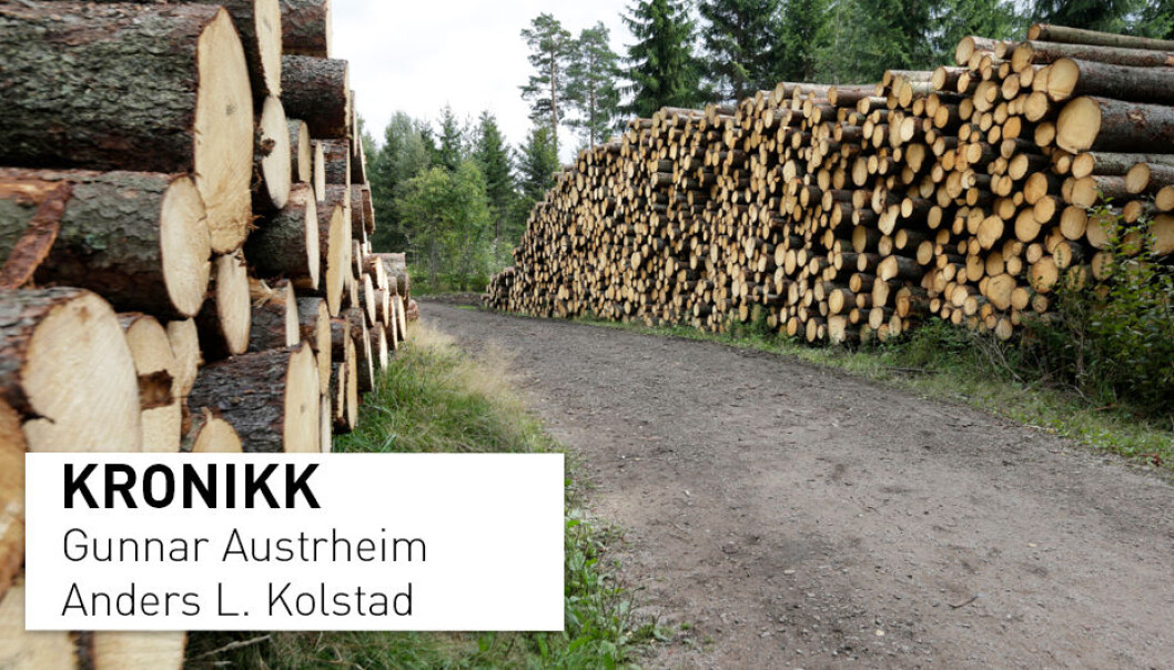 - Naturpanelets rapport viser at utviklingen går i feil retning, og at vi mange steder har møtt grensen for hvor mat og tømmer vi kan hente fra naturen, skriver kronikkforfatterne. (Foto: Vidar Ruud / NTB Scanpix) - Naturpanelets rapport viser at utviklingen går i feil retning, og at vi mange steder har møtt grensen for hvor mat og tømmer vi kan hente fra naturen, skriver kronikkforfatterne. (Foto: Vidar Ruud / NTB Scanpix)