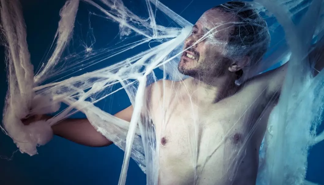 Sex og silkekjoler – om edderkoppers spinnville liv
