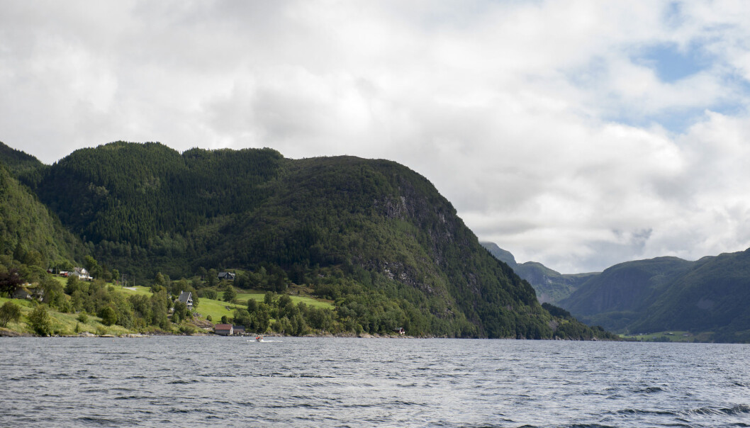 Regjeringen har gitt selskapet Nordic Mining tillatelse til å deponere gruveavfallet sitt i Førdefjorden i Sogn og Fjordane. Hvilke konsekvenser får det for organismene i sjøen? (Foto: Marit Hommedal / NTB scanpix) Regjeringen har gitt selskapet Nordic Mining tillatelse til å deponere gruveavfallet sitt i Førdefjorden i Sogn og Fjordane. Hvilke konsekvenser får det for organismene i sjøen? (Foto: Marit Hommedal / NTB scanpix)
